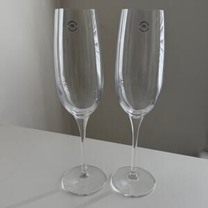 Tiffany & Co. Crystal Champagne Flutes Set of 2 Wedding Toast Anniversary NEW